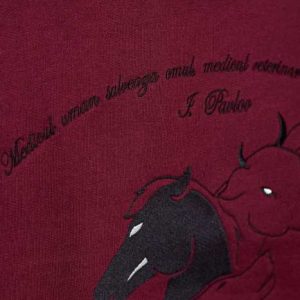 facultate de medicina veterinara bucuresti