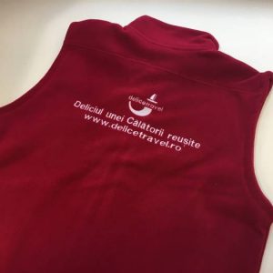 delice-travel-logo-haine